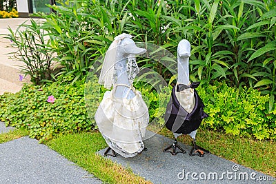Duck doll in wedding dress And a tuxedo in the garden. Stock Photo