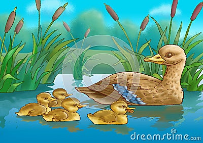 Duck and duckling Stock Photo