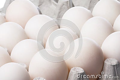 Duck Eggs Stock Photo