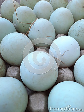 Duck eggs contain a variety of vitamins and minerals, especially vitamin B12 Stock Photo