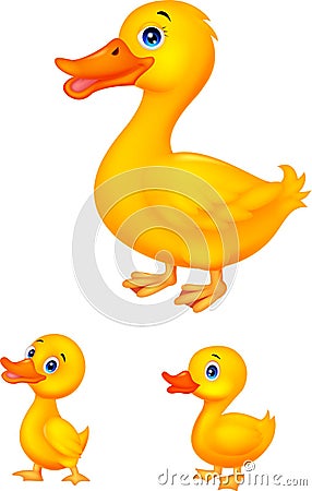 Duck family cartoon Vector Illustration