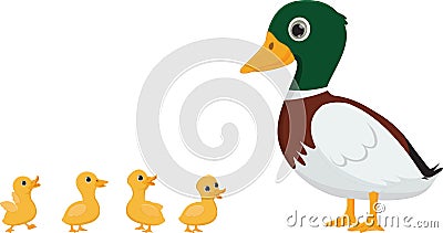 Duck family cartoon Vector Illustration