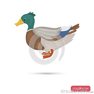 Duck farm bird color flat icon Vector Illustration
