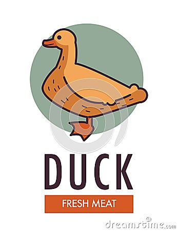 Duck fresh meat commercial logo with domestic bird Vector Illustration