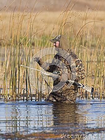 Duck Hunting Stock Photo