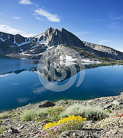 Duck Lake With Wildflowers And Mountain Reflection Stock Photo