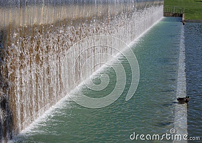 Duck in Manmade Water Feature Stock Photo