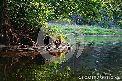 Duck Pond Stock Photo