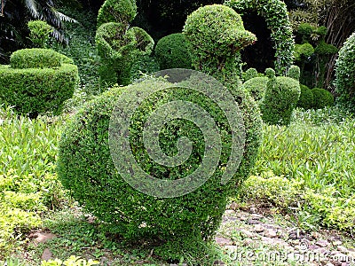 Duck shaped arrangement green leaves Stock Photo