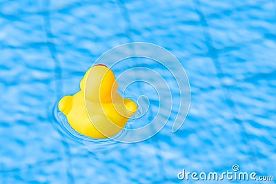 Duck toy. Yellow kids rubber toy float in blue water of summer pool. Float party minimal concept Stock Photo