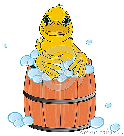 Duck washing in barrel Stock Photo