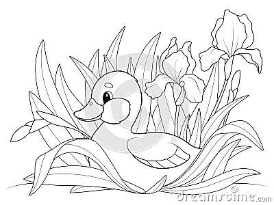 Duckling in the bushes of iris flowers. Coloring book, raster. Cartoon Illustration