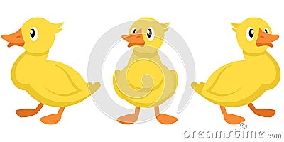 Duckling in different poses. Vector Illustration