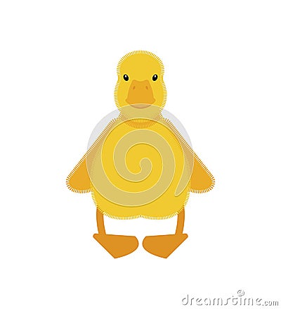 Duckling isolated. little duck Vector illustration Vector Illustration