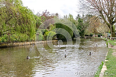 The river in Bourton on the Water with ducks Stock Photo