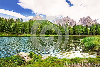 Ducks on lake Lago Antorno with the view to Dolomites, Italy. Stock Photo