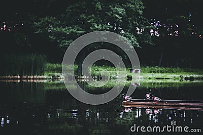 Ducks sitting on broken footbridge in the park pond Stock Photo