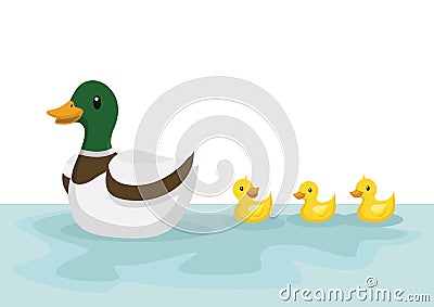 Ducks swim in the pond. Vector Illustration