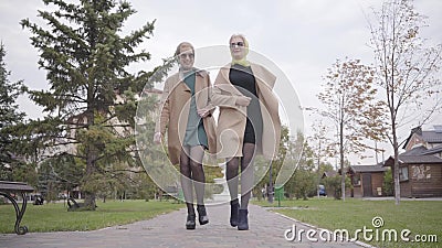 Due bellissime donne caucasiche mature in grembo autunnale beige, abiti corti e occhiali da sole che passeggiano nel parco cittad stock footage Due bellissime donne caucasiche mature in grembo autunnale beige, abiti corti e occhiali da sole che passeggiano nel parco cittad stock footage