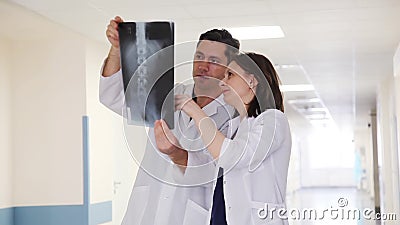 Due dottori nel corridoio della clinica stock footage Due dottori nel corridoio della clinica stock footage