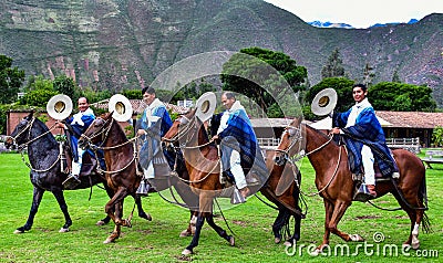 Paso Peruvian horse-Wayra Urubamba - Peru 66 Editorial Stock Photo