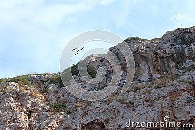 Dugi Otok Cliffs, Telascica Nature Park, Croatia Stock Photo