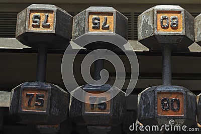 Dumbbell Weights Stock Photo