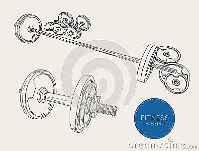 Dumbbells barbells and weight fitness , sketch vector. Vector Illustration