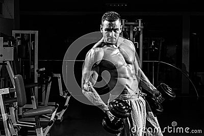 Dumbbells exercises. Sporty lifestyle. Male torso with six packs. Bodybuilder in gym. Training and workouts. Sportsman Stock Photo