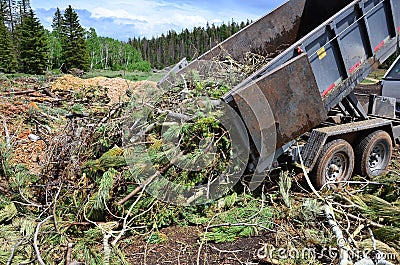 Dump Trailer Dumping Limbs Stock Photo