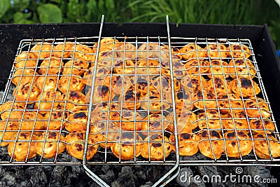 Dumplings on the grill acquiring a delicious and appetizing look Stock Photo