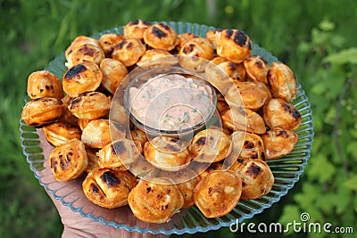 Fried dumplings on the grill lie in a plate with sauce Stock Photo