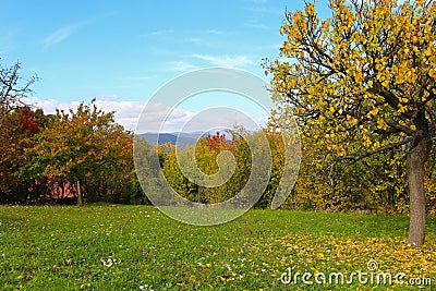 Dunabogdany Bogdany Hungary Fall autumn 2017 Beautiful view in the nature. Stock Photo