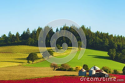 Dundee Hills farm in morning light Editorial Stock Photo