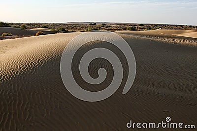 Dune and fixed sands Stock Photo