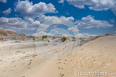 Dune landscape with a gentle slope of drifting sand rising to the top of the dune Stock Photo