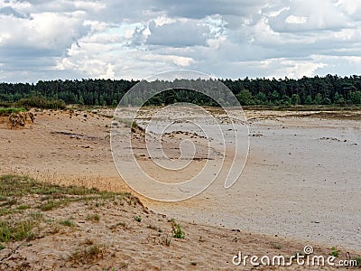 Dune landscape in nature park LÃ¼neburg Heath, Germany Stock Photo