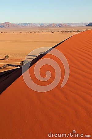 Red dune near the entrance of Sossusvlei and Deadvlei in Naukluft Park in de Namib Desert in Namibia Stock Photo