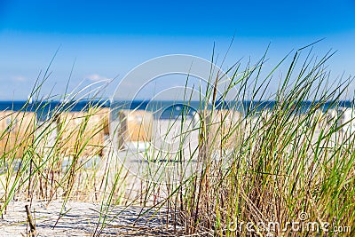Dune with reed Stock Photo