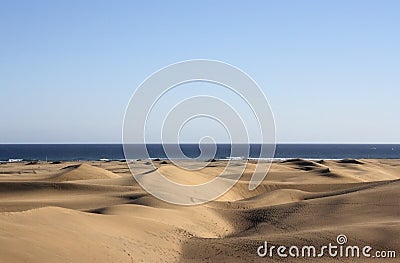 Dunes with atlantic ocean Stock Photo