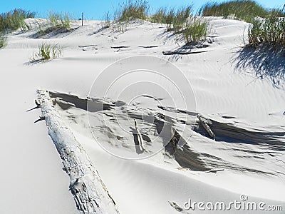Dunes on the Baltic Sea. Summer, vacation on beach. Beautiful sandy landscapes. Stock Photo