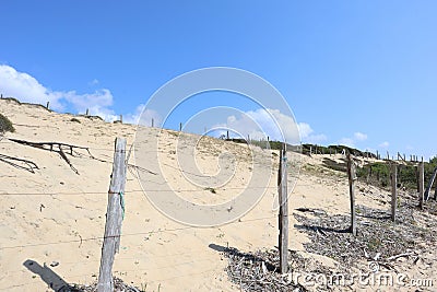 Dunes on beach bordered by wooden fences. Moliets beach France. Stock Photo