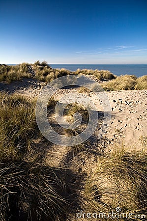 Dunes At The Coast Stock Photo