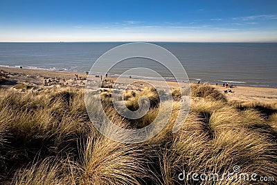 Dunes At The Coast Stock Photo