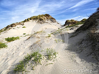Dunes of Fort Mahon in France. Stock Photo