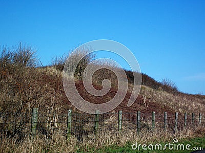 Dunes Stock Photo