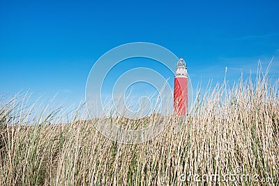 Dunes and lighthouse in Texel Stock Photo