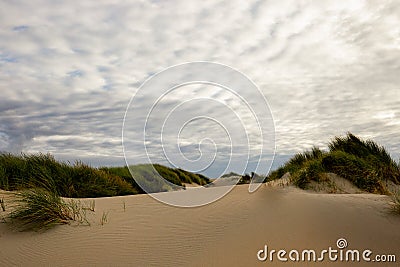 Dunes in Westland Stock Photo