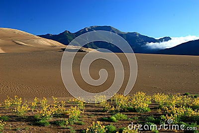 Dunes mountain clouds sunflowers Stock Photo