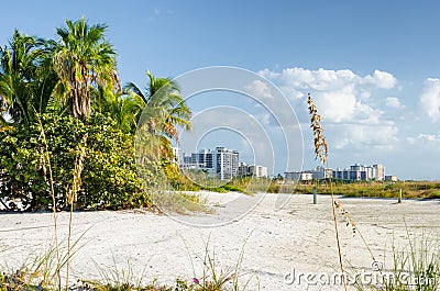 Dunes near ocean front in Florida Stock Photo